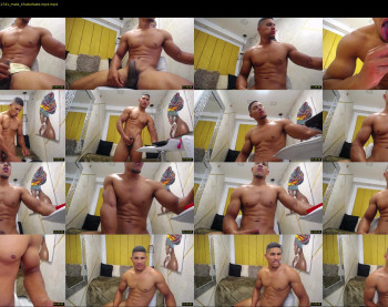 teddyfit19cm