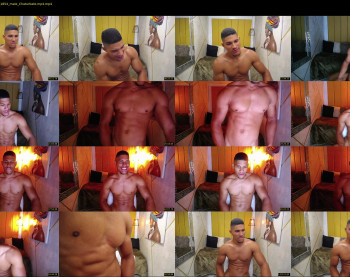 teddyfit19cm