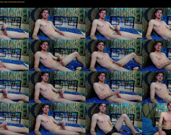 willardgram