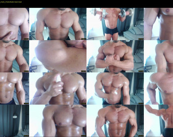 flex_x_x