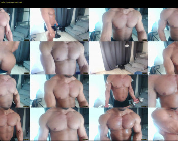 flex_x_x