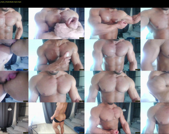 flex_x_x
