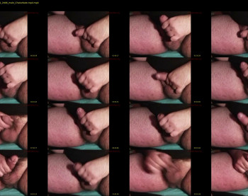 limp1dick