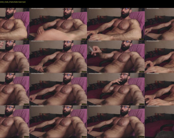 muscle0max