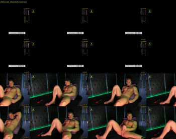 steevemuscle