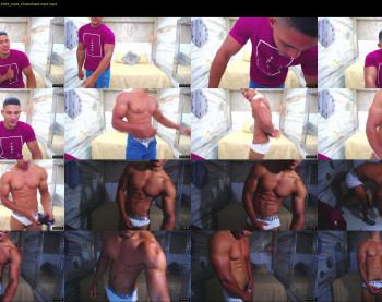 teddyfit19cm