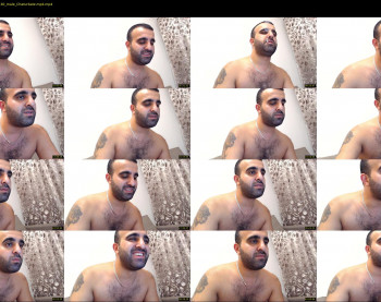 djefri_bear
