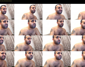djefri_bear