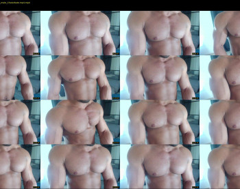 flex_x_x
