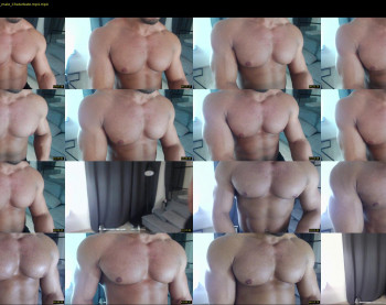 flex_x_x