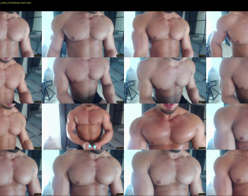 flex_x_x