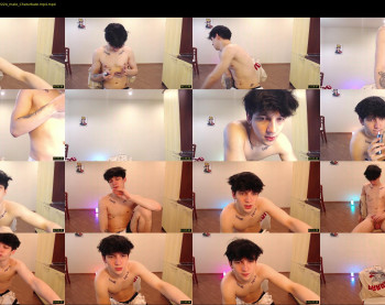 teddy_mode