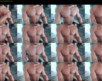 flex_x_x