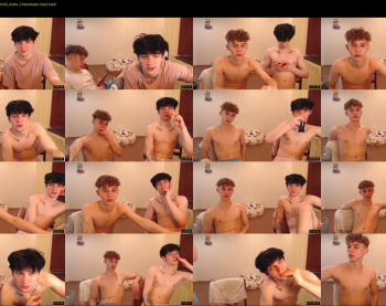 teddy_mode
