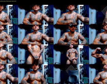 maxstephenx