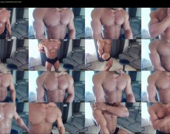 flex_x_x
