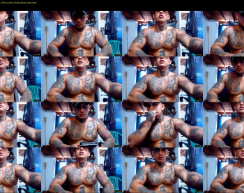 maxstephenx