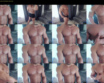flex_x_x