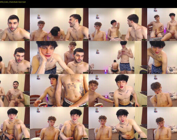 teddy_mode