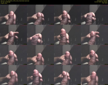 z1g