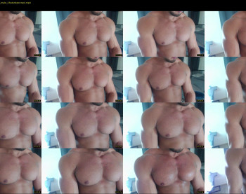flex_x_x
