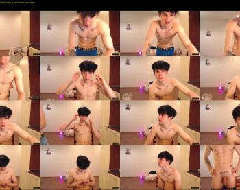teddy_mode
