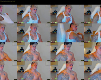 austin_grey2