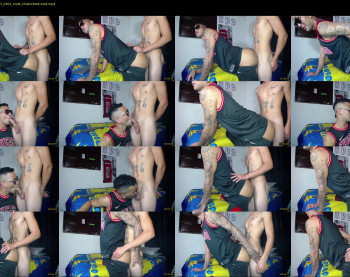 dj_stiven_20cm