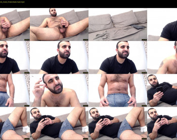 djefri_bear