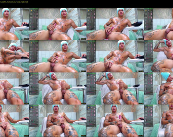 falcon_prince20