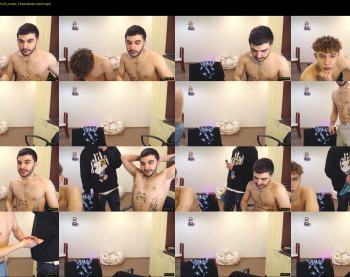 teddy_mode