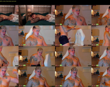 austin_grey2