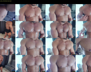 flex_x_x