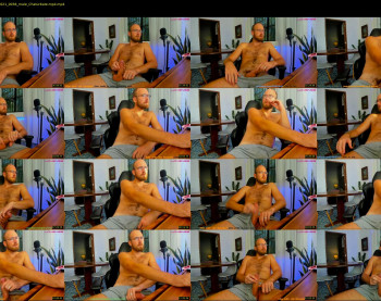 swedishvikingstud
