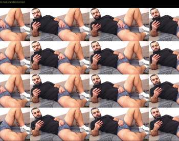 djefri_bear