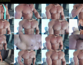 flex_x_x