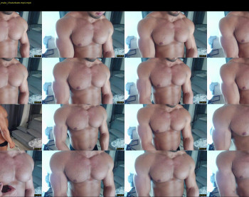 flex_x_x