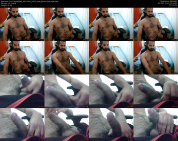 12321test12321