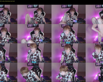 alvin__main