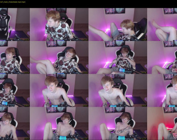 alvin__main