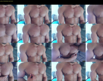 flex_x_x