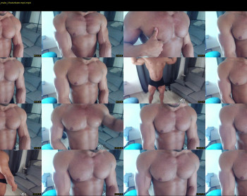 flex_x_x
