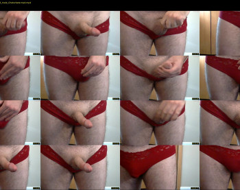 hmj0003