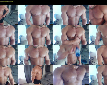 flex_x_x