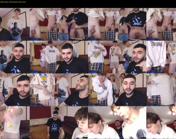 teddy_mode