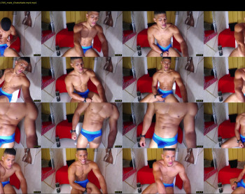 teddyfit19cm