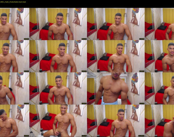 teddyfit19cm