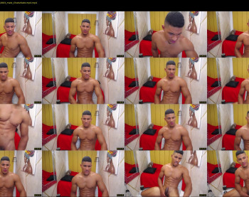 teddyfit19cm