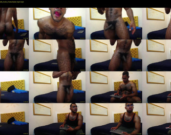 donato_dly