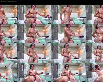 falcon_prince20